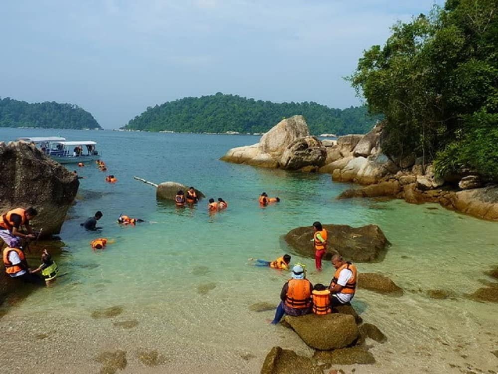 Pantai lumut